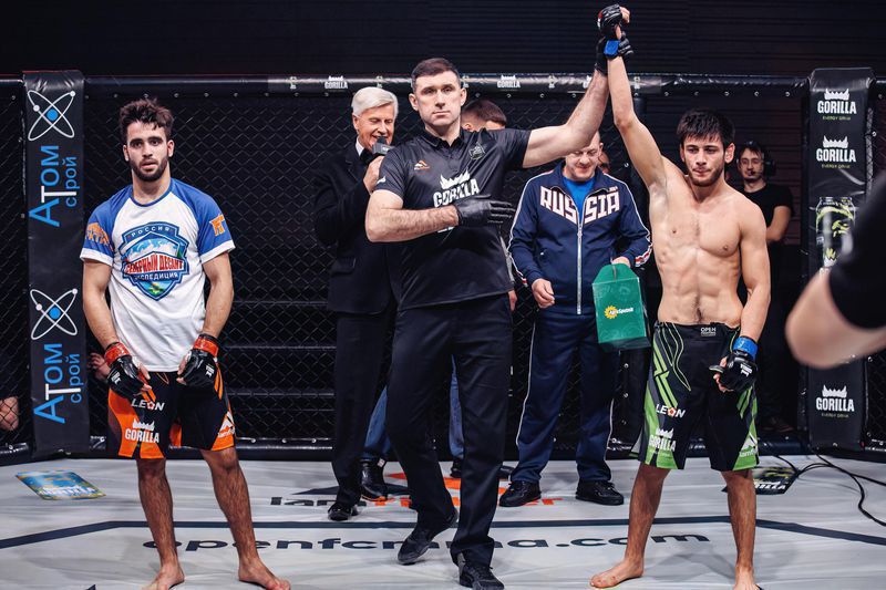 Agro-Sputnik became a sponsor in the Winter Mixed martial arts Tournament